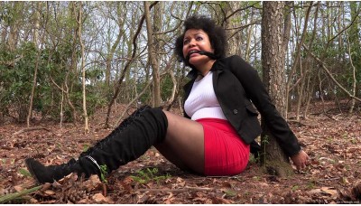 The Secretary Who Knew Too Much (MP4) - Monica Jade