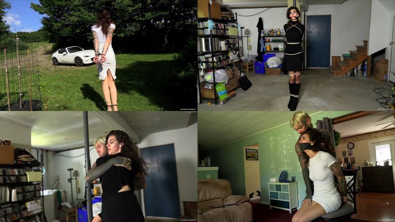 Unsuccessful Thief and Have We Met Before? (MP4) - Ramona Vixen